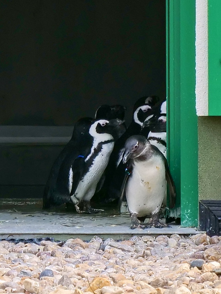 Tu���k br�lov� - nesm�l�!