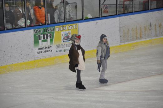 Exhibice Krasobrusla�sk�ho klubu O �erven� Karkulce, foto P. �patenkov�09