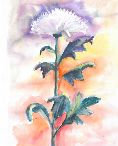 Kate�ina Po�ivilov� vystudovala u�itelstv�, aprobace �esk� jazyk a v�tvarn� v�chova, byla ��kyn� mal��e Bo�ivoje Borovsk�ho. V dob� studi� na Gymn�ziu ve Dvo�e Kr�lov� nav�t�vovala ZU�, v�tvarn� obor pod veden�m Ivana Moravce. T�m�� cel� �ivot �ije a...