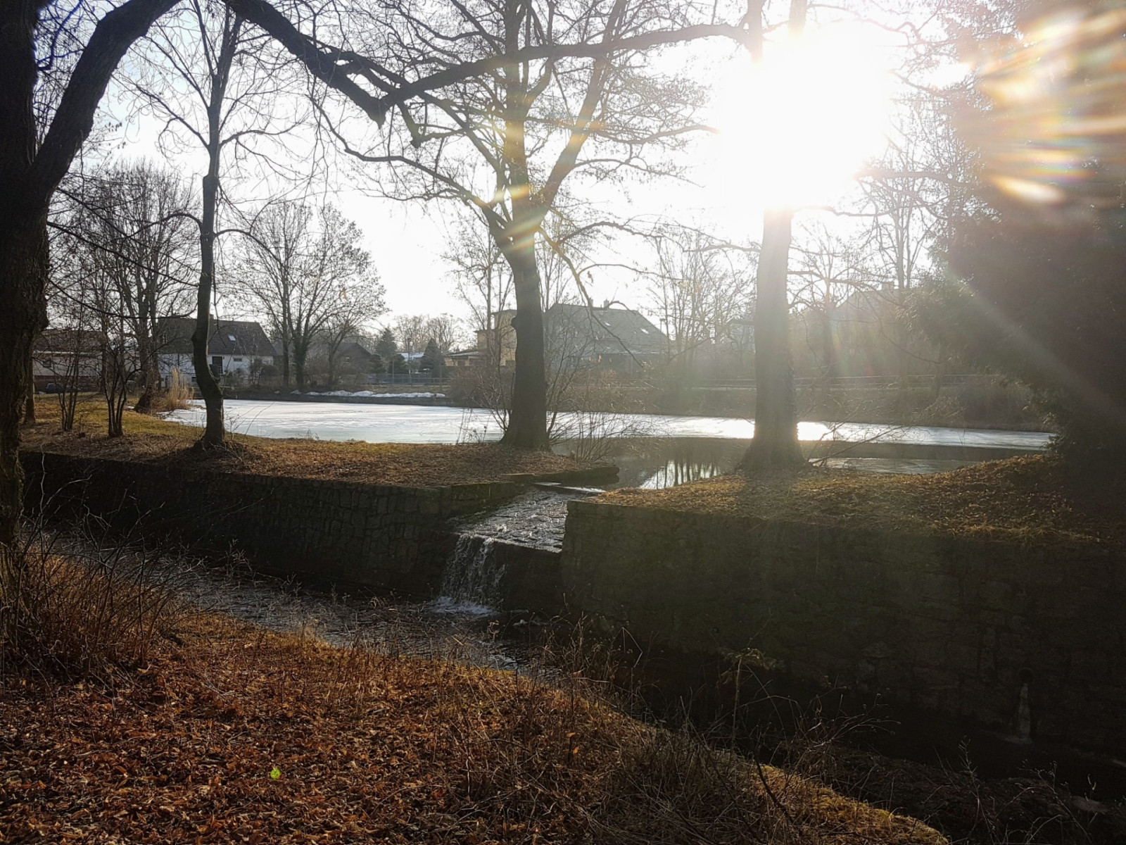 P�epad Pdhar�sk�ho rybn�ka - vid�te tam taky ty l�vky? :-)